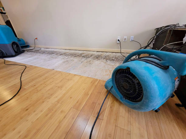 Professional Flood Damage Cleanup technician working in Jefferson, GA